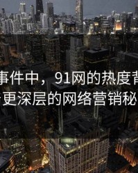 在91大事件中，91网的热度背后隐藏着更深层的网络营销秘密