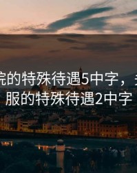 日本医院的特殊待遇5中字，头等舱客服的特殊待遇2中字