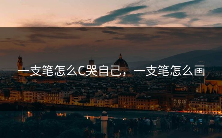 一支笔怎么C哭自己，一支笔怎么画