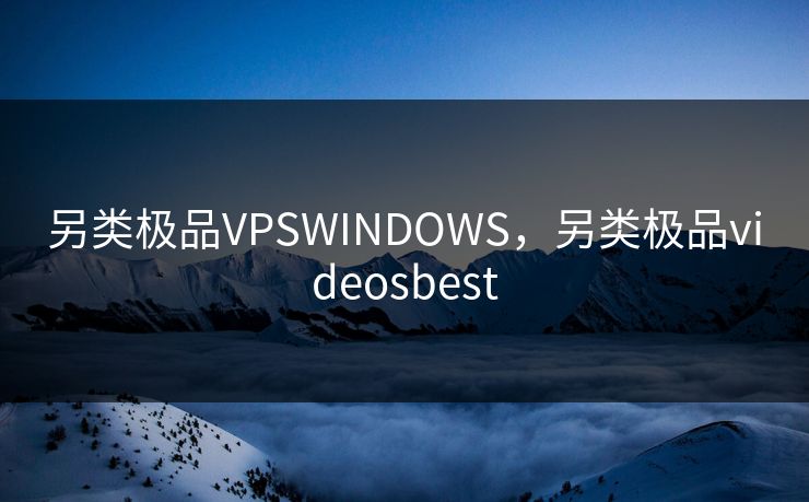 另类极品VPSWINDOWS，另类极品videosbest