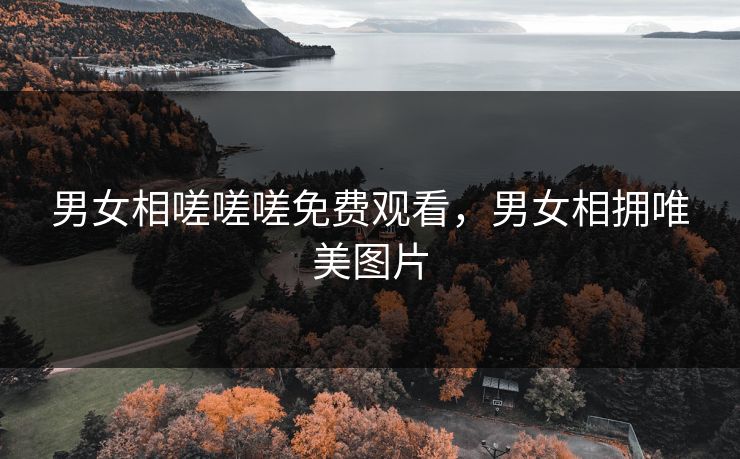 男女相嗟嗟嗟免费观看，男女相拥唯美图片