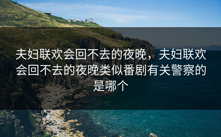 夫妇联欢会回不去的夜晚，夫妇联欢会回不去的夜晚类似番剧有关警察的是哪个