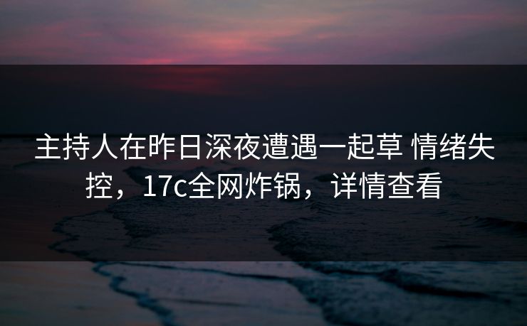 主持人在昨日深夜遭遇一起草 情绪失控，17c全网炸锅，详情查看
