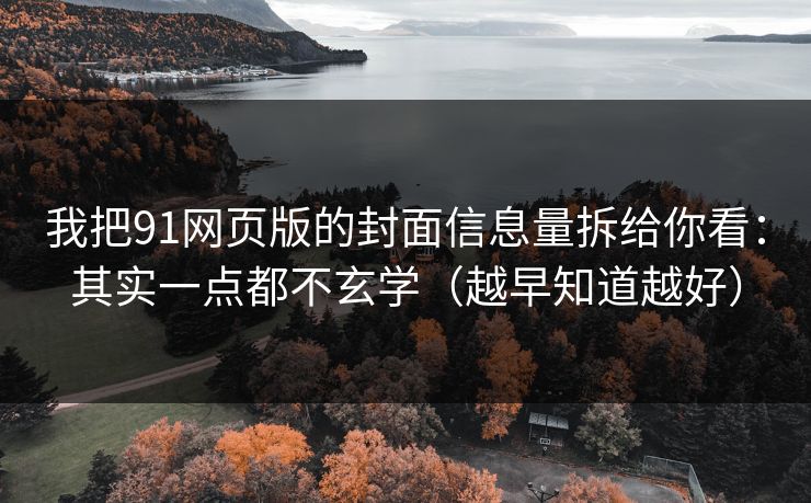 我把91网页版的封面信息量拆给你看：其实一点都不玄学（越早知道越好）