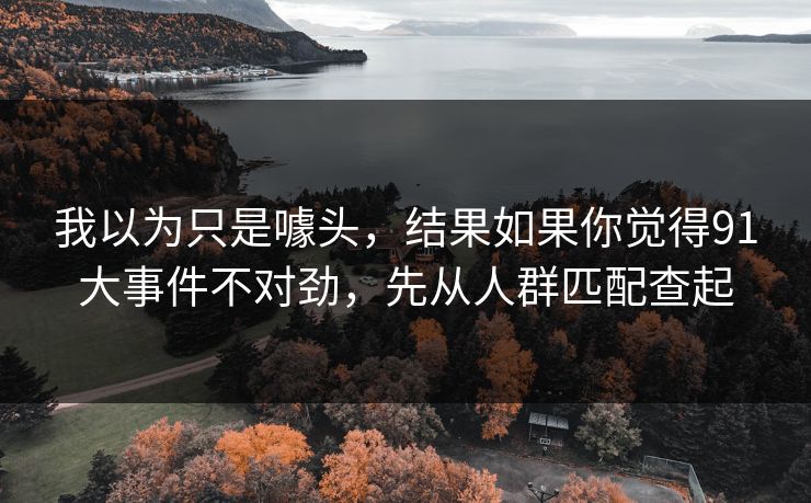 我以为只是噱头，结果如果你觉得91大事件不对劲，先从人群匹配查起