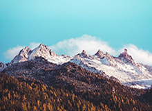 【紧急】蘑菇影视在线观看盘点：秘闻10个细节真相，神秘人上榜理由空前令人难以抗拒