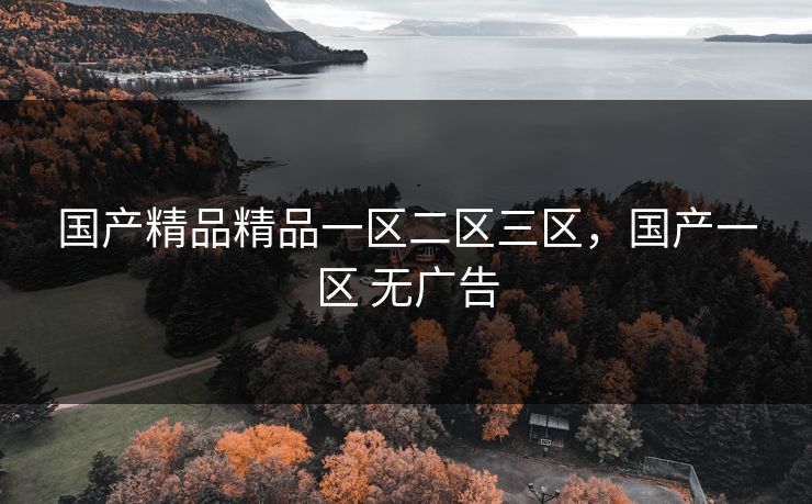 国产精品精品一区二区三区，国产一区 无广告